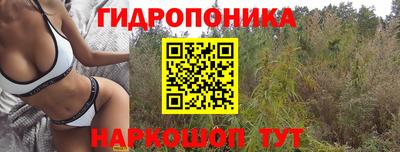 бошки Славянск-на-Кубани